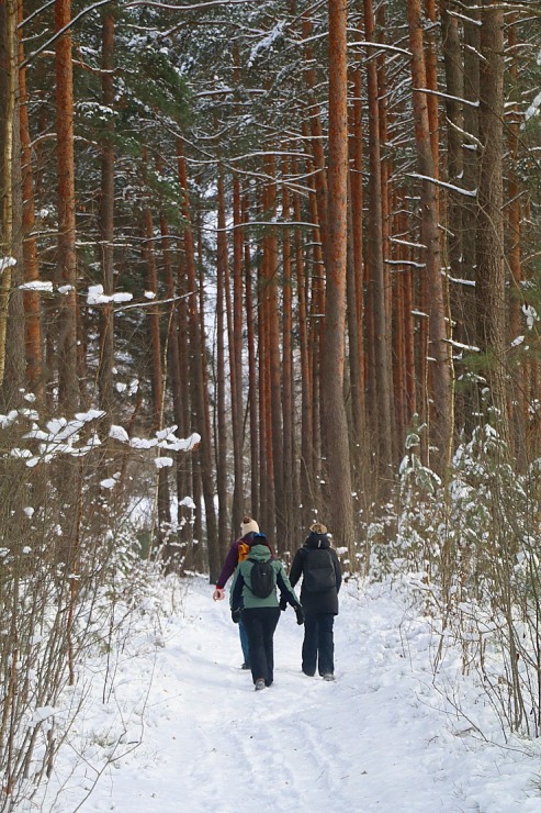 Travelnews.lv Jelgavas novadā veic 24 km «Postnos» pārgājienu sadarbībā ar «Europcar Latvia» 330718