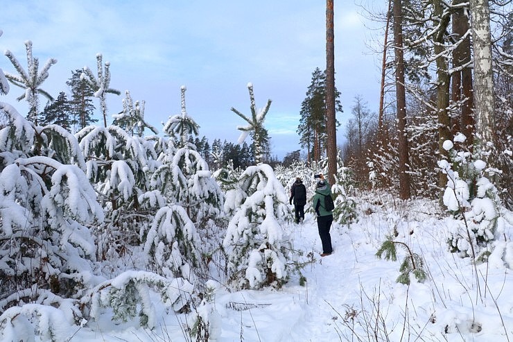 Travelnews.lv izbauda 24 km pārgājienu Jelgavas novadā sala un vēja apstākļos 330758