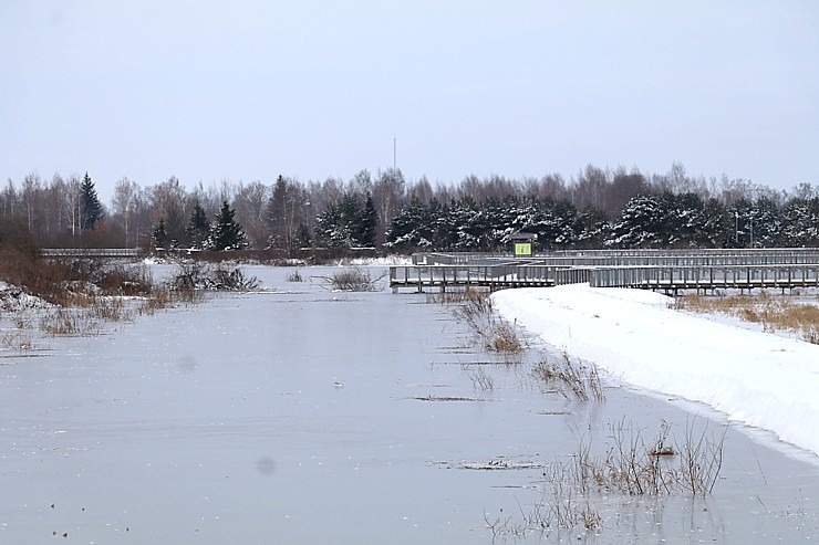 Travelnews.lv izbauda 24 km pārgājienu Jelgavas novadā sala un vēja apstākļos 330766