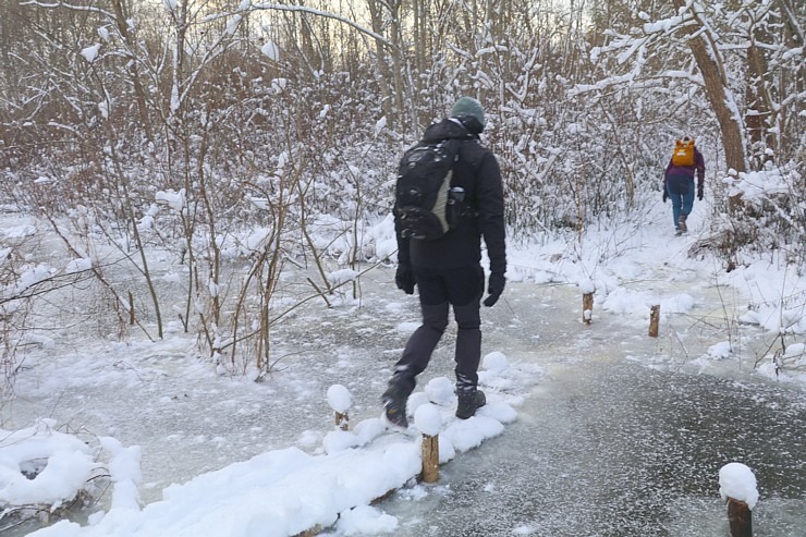 Travelnews.lv izbauda 24 km pārgājienu Jelgavas novadā sala un vēja apstākļos 330756