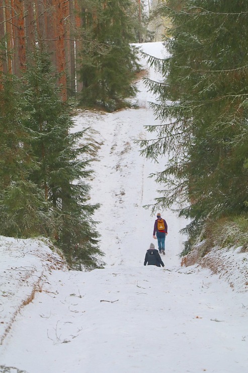 Travelnews.lv sadarbībā ar «Europcar Latvia» dodas 20 km pārgājienā Smiltenes novadā 331579