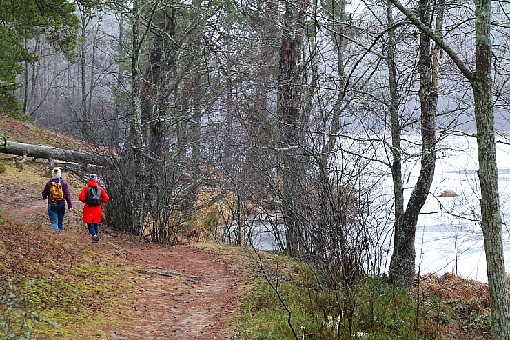 Travelnews.lv iziet 24 km pārgājienu Piejūras dabas parkā gar Gauju, Garezeru, Lilasti un Dzirnezeru 333070