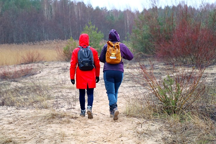 Travelnews.lv iziet 24 km pārgājienu Piejūras dabas parkā gar Gauju, Garezeru, Lilasti un Dzirnezeru 333079