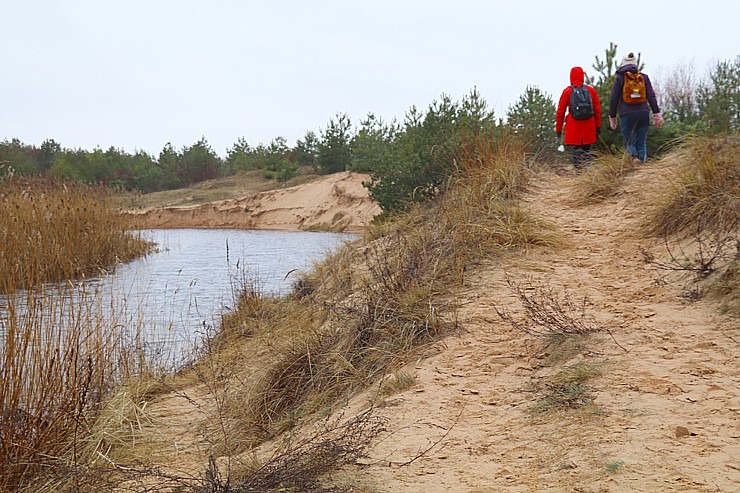 Travelnews.lv iziet 24 km pārgājienu Piejūras dabas parkā gar Gauju, Garezeru, Lilasti un Dzirnezeru 333080