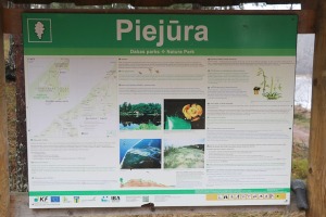 Travelnews.lv iziet 24 km pārgājienu Piejūras dabas parkā gar Gauju, Garezeru, Lilasti un Dzirnezeru 29