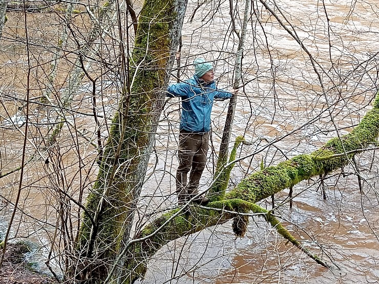 Amatas upe pārsteidz laivotājus un ceļotājus ar pavasara ūdeņu spēku. Foto: Agita Līviņa 334373