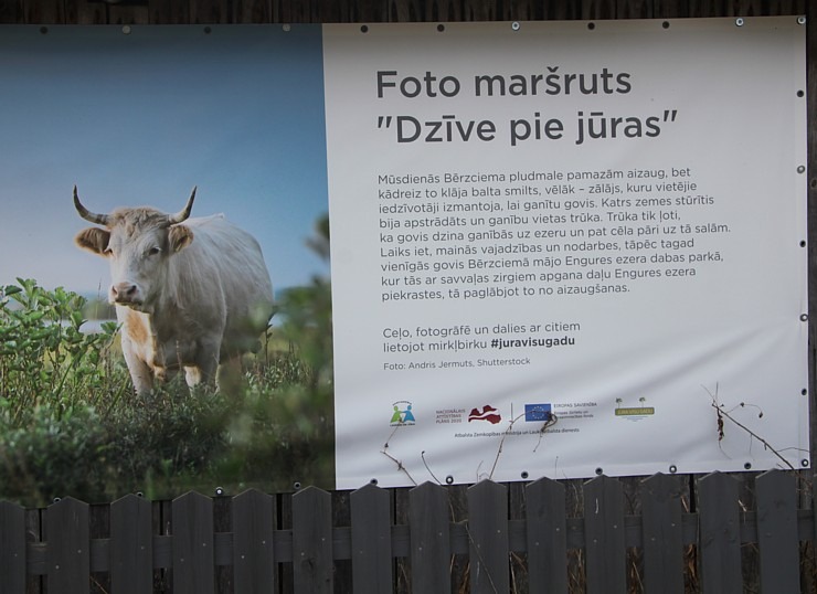 Dodamies 22 km pārgājienā ar korgiju Engures apkārtnē sadarbībā ar «Europcar Latvija» 335223