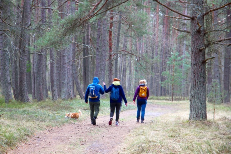 Dodamies 22 km pārgājienā ar korgiju Engures apkārtnē sadarbībā ar «Europcar Latvija» 335210