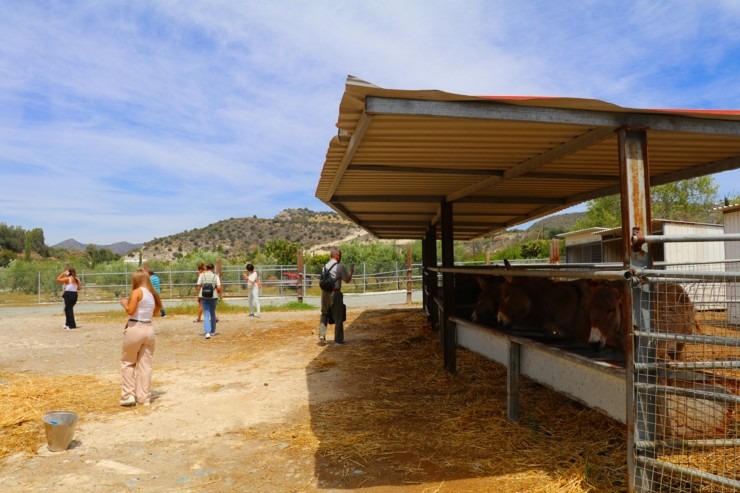 Travelnews.lv apmeklē ēzeļu fermu «Agroktima Agios Georgios» Kiprā 335645