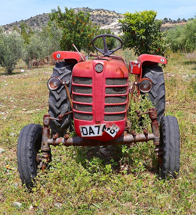 Travelnews.lv apmeklē ēzeļu fermu «Agroktima Agios Georgios» Kiprā 335652