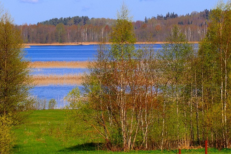 Pavasaris ar lielu spēku ienāk Latgales dabā 335706