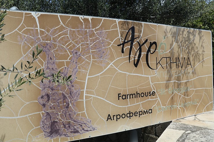 Travelnews.lv izbauda pusdienu piedāvājumu Kipras ēzeļu fermā «Agroktima Agios Georgios» 335764