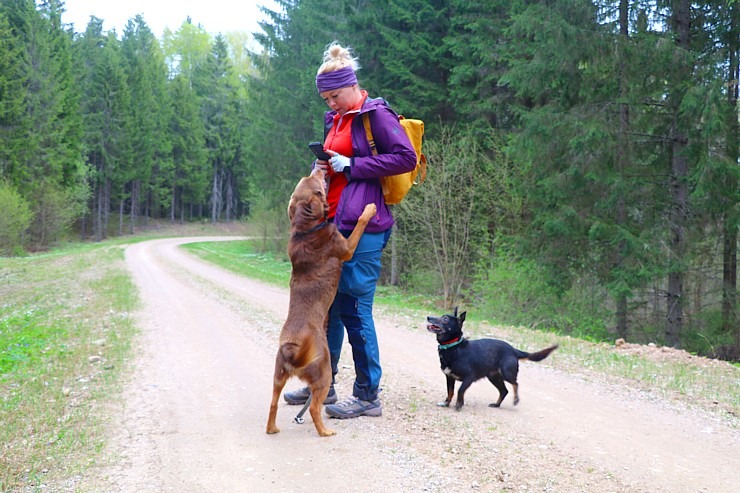 Ludzas novadā Travelnews.lv kopā ar krančiem pievar 33 km pārgājienu Vecslabadā 335801