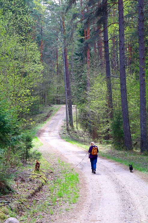 Travelnews.lv par godu 4.maijam un Krāslavas 100. gadu jubilejai noiet 20 km pārgājienu 335924