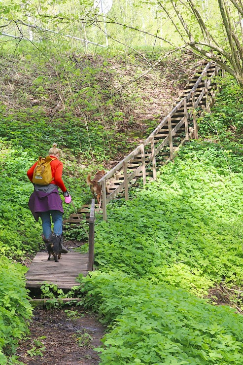 Travelnews.lv par godu 4.maijam un Krāslavas 100. gadu jubilejai noiet 20 km pārgājienu 335935