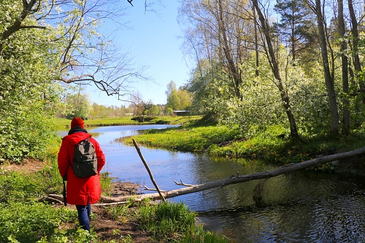 Travelnews.lv dodas Elejas 22 km pārgājienā Jelgavas novadā 336043