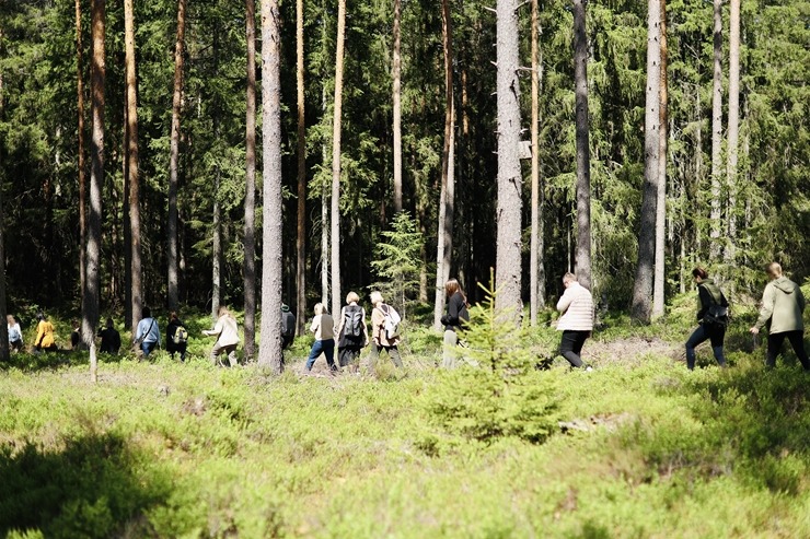 Nepieradinātās Naktsmītnes atklāj projekta “DABAS GALERIJA” jauno sezonu ar īpašu programmu grupām. Foto: Jānis Vīksna, Alens Opoļskis 337478