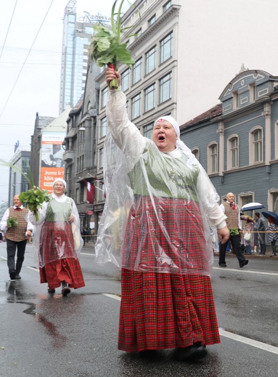 Rīdzinieki skata dziesmu un deju svētku dalībnieku gājienu Rīgā - «Novadu dižošanās» 338812