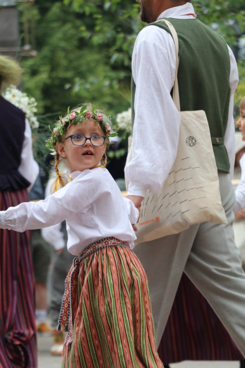 Atpazīsti savējos dziesmu un deju svētku dalībnieku gājienu Rīgā - «Novadu dižošanās» 338935