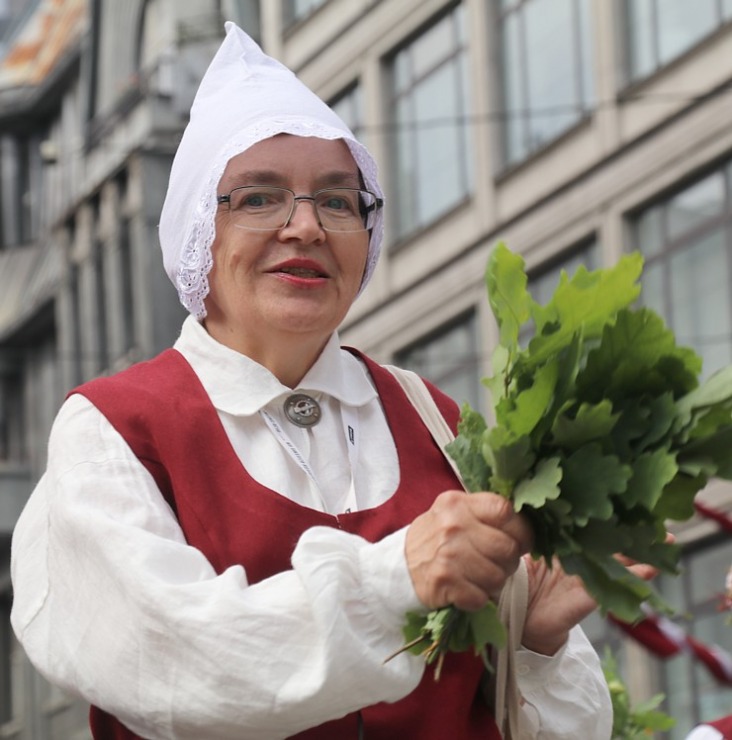 Foto mirkļi no dziesmu un deju svētku dalībnieku gājiena Rīgā - «Novadu dižošanās» 339100