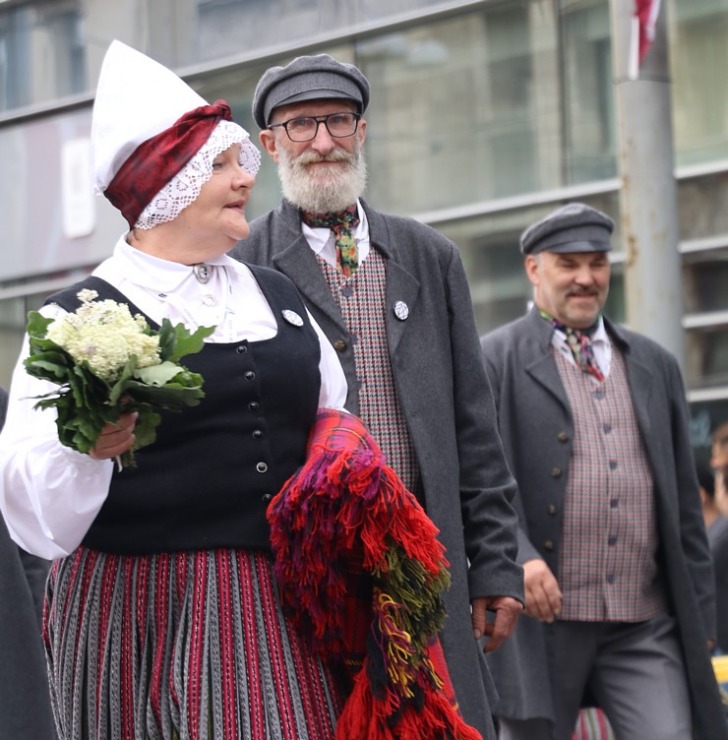 Foto mirkļi no dziesmu un deju svētku dalībnieku gājiena Rīgā - «Novadu dižošanās» 339110