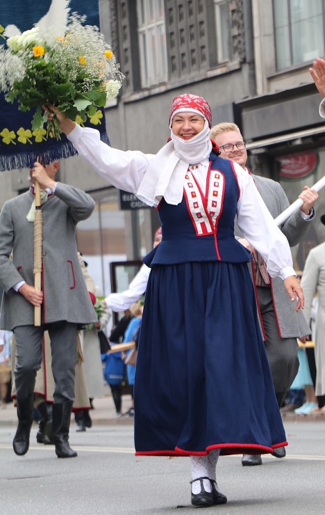 Foto mirkļi no dziesmu un deju svētku dalībnieku gājiena Rīgā - «Novadu dižošanās» 339113