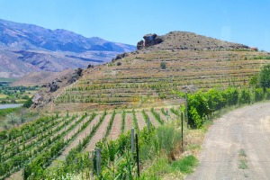 Travelnews.lv izbaudām labākās pusdienas Armēnijas ceļojumā - restorāns «Old Bridge Winery». Sadarbībā ar airBaltic 2
