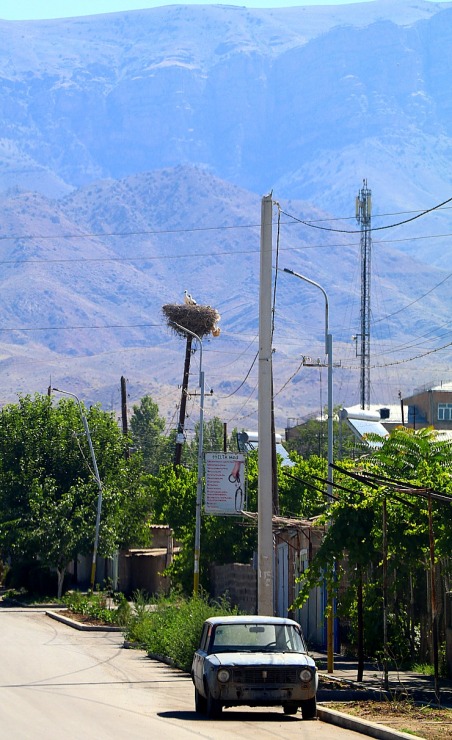 Travelnews.lv Armēnijā apmeklē ciemu Surenavan, kur gandrīz katra staba galā ir stārķu ligzda. Sadarbībā ar airBaltic 341427