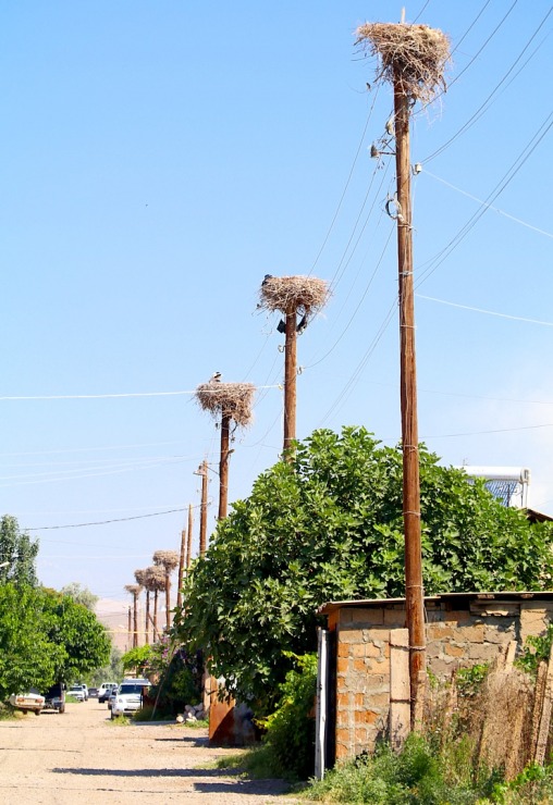 Travelnews.lv Armēnijā apmeklē ciemu Surenavan, kur gandrīz katra staba galā ir stārķu ligzda. Sadarbībā ar airBaltic 341428