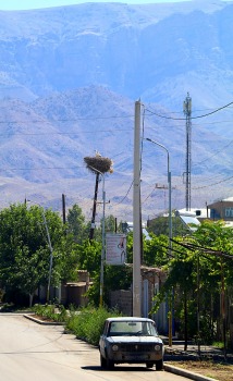 Travelnews.lv Armēnijā apmeklē ciemu Surenavan, kur gandrīz katra staba galā ir stārķu ligzda. Sadarbībā ar airBaltic 6