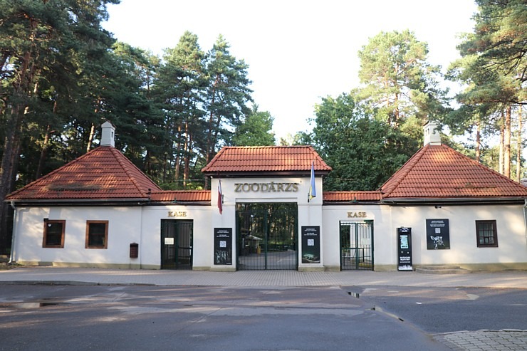 Travelnews.lv redakcija vakarpusē apmeklē Rīgas Nacionālo zooloģisko dārzu 342683
