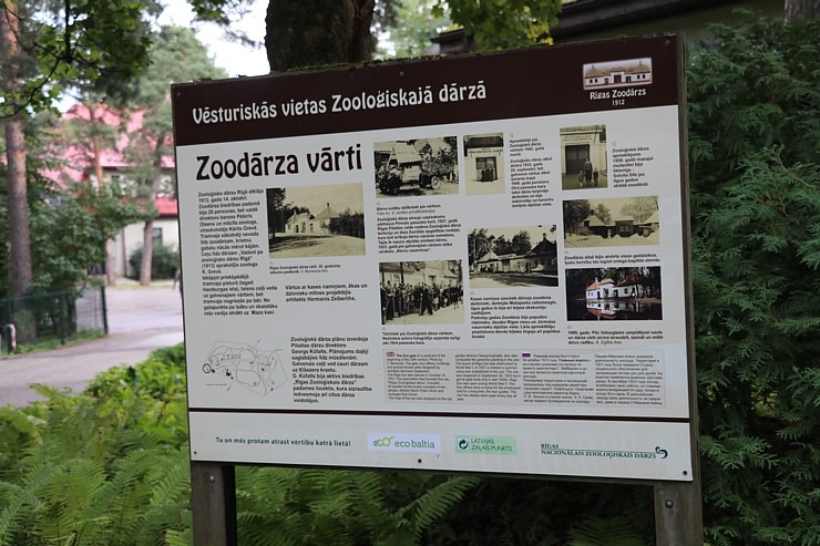 Rīgas Nacionālais zooloģiskais dārzs vienmēr ir laba izvēle izzinošai aktivitātei 343486