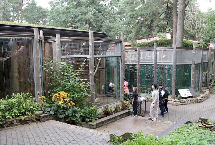 Rīgas Nacionālais zooloģiskais dārzs vienmēr ir laba izvēle izzinošai aktivitātei 343491