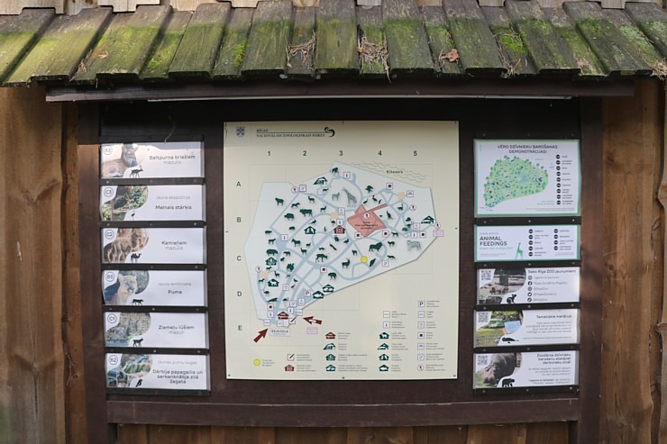 Travelnews.lv iesaka apmeklēt Rīgas Nacionālo zooloģisko dārzu izziņai un pastaigai 343576