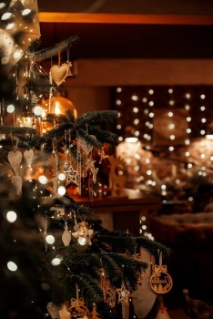 Atpūtas nams «Karina Home» Latgalē uzbur Ziemassvētku un Jaungada noskaņojumu 18