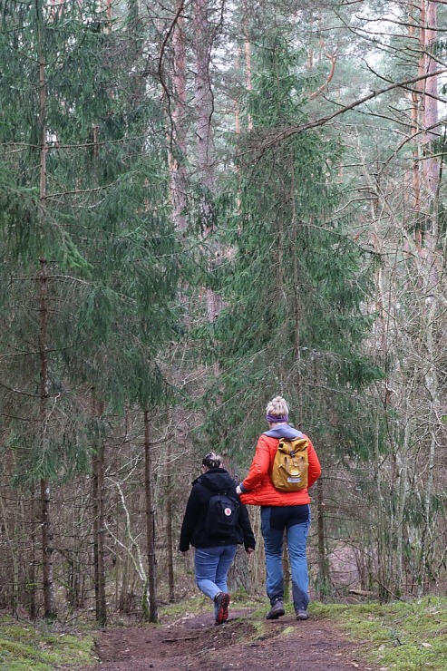 25 km pārgājiens Kandavas apkārtnē ļauj iepazīt pilsētu, Čužu purvu un Abavas senleju 352115