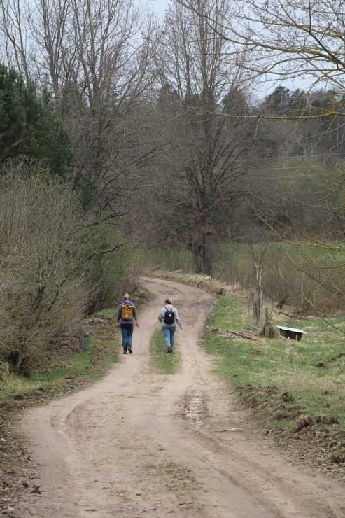 25 km pārgājiens Kandavas apkārtnē ļauj iepazīt pilsētu, Čužu purvu un Abavas senleju 352120