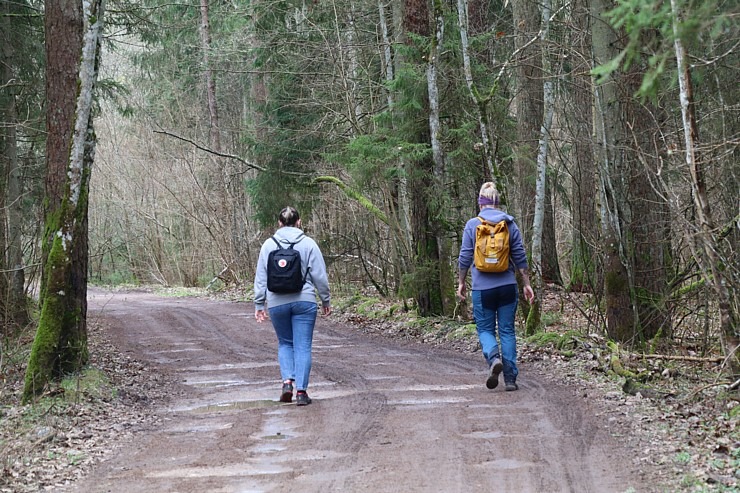 25 km pārgājiens Kandavas apkārtnē ļauj iepazīt pilsētu, Čužu purvu un Abavas senleju 352122