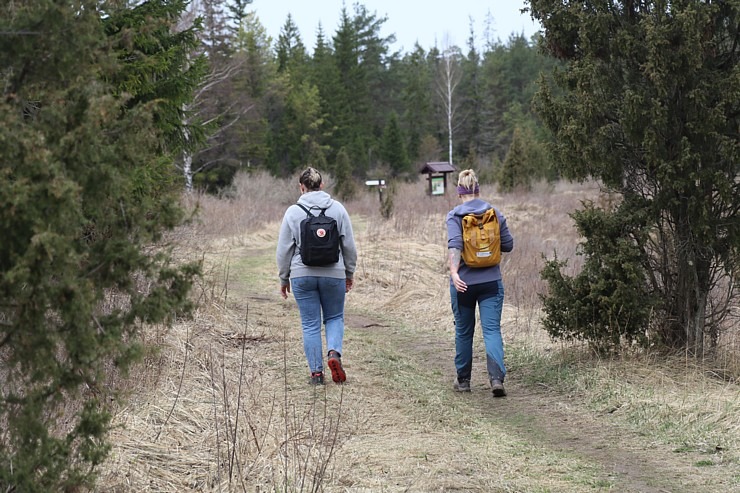 25 km pārgājiens Kandavas apkārtnē ļauj iepazīt pilsētu, Čužu purvu un Abavas senleju 352128