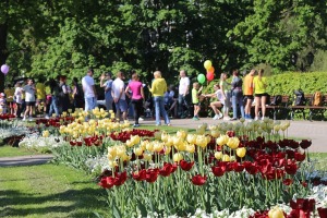 Latvijas galvaspilsētu pārņem skriešanas svētki 24