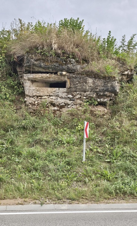 100 bildēs divu dienu pārgājiens ar 112 km maršrutu Rīga - Vidzeme - Zemgale - Sēlija 358284