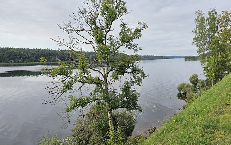 100 bildēs divu dienu pārgājiens ar 112 km maršrutu Rīga - Vidzeme - Zemgale - Sēlija 358287