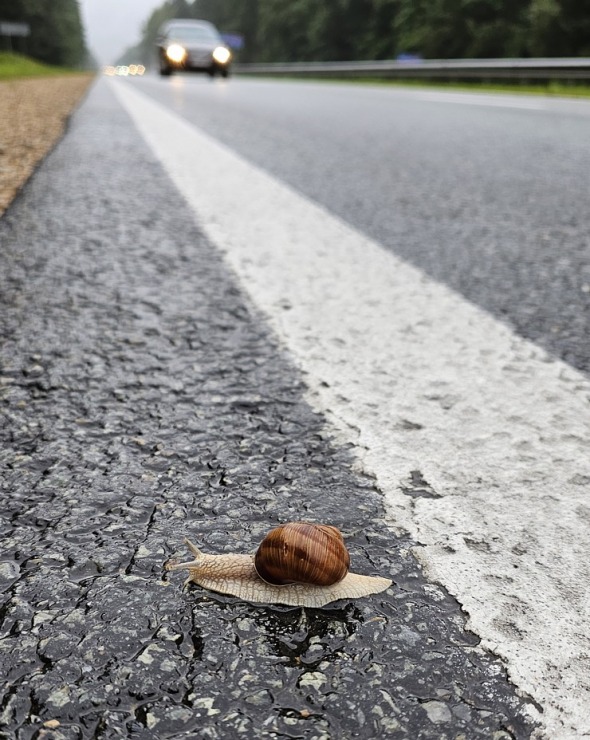 100 bildēs divu dienu pārgājiens ar 112 km maršrutu Rīga - Vidzeme - Zemgale - Sēlija 358256