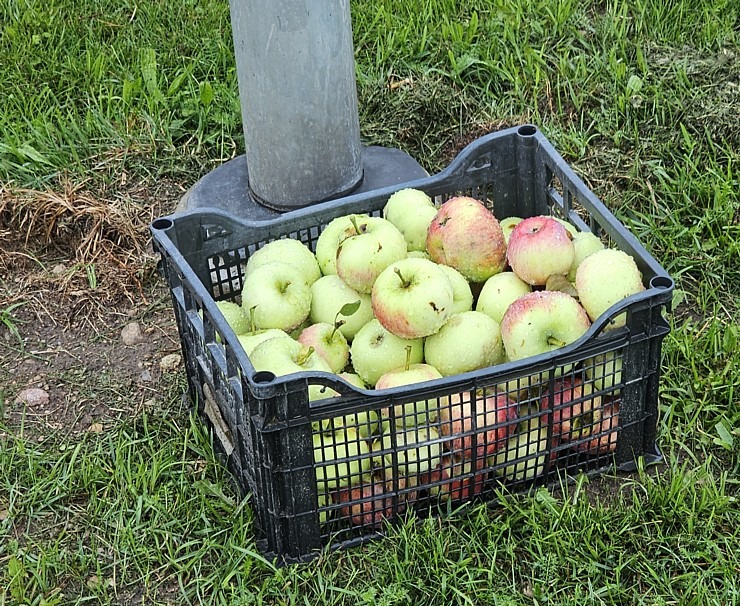 100 bildēs divu dienu pārgājiens ar 112 km maršrutu Rīga - Vidzeme - Zemgale - Sēlija 358258