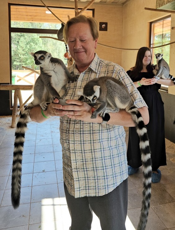 «Rakšu» brīvdabas ZOO tagad piedāvā lemurus un ķengurus 358537