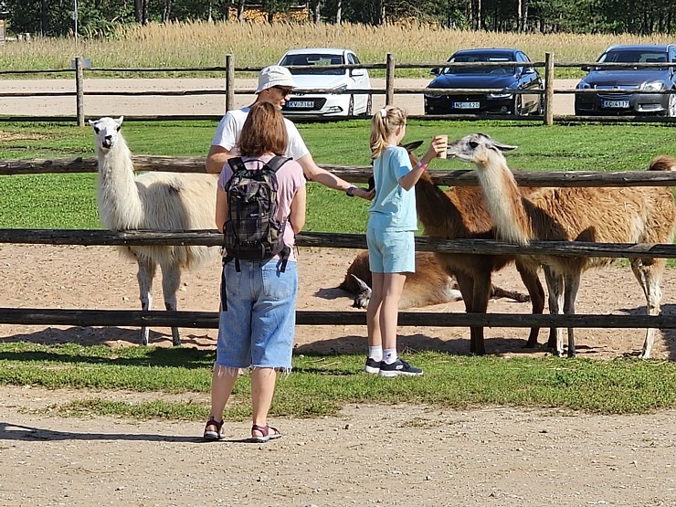 Travelnews.lv apmeklē «Rakšu» brīvdabas ZOO Cēsu novadā 358570