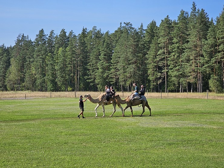 Travelnews.lv apmeklē «Rakšu» brīvdabas ZOO Cēsu novadā 358574