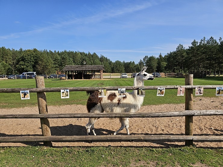 Travelnews.lv apmeklē «Rakšu» brīvdabas ZOO Cēsu novadā 358580