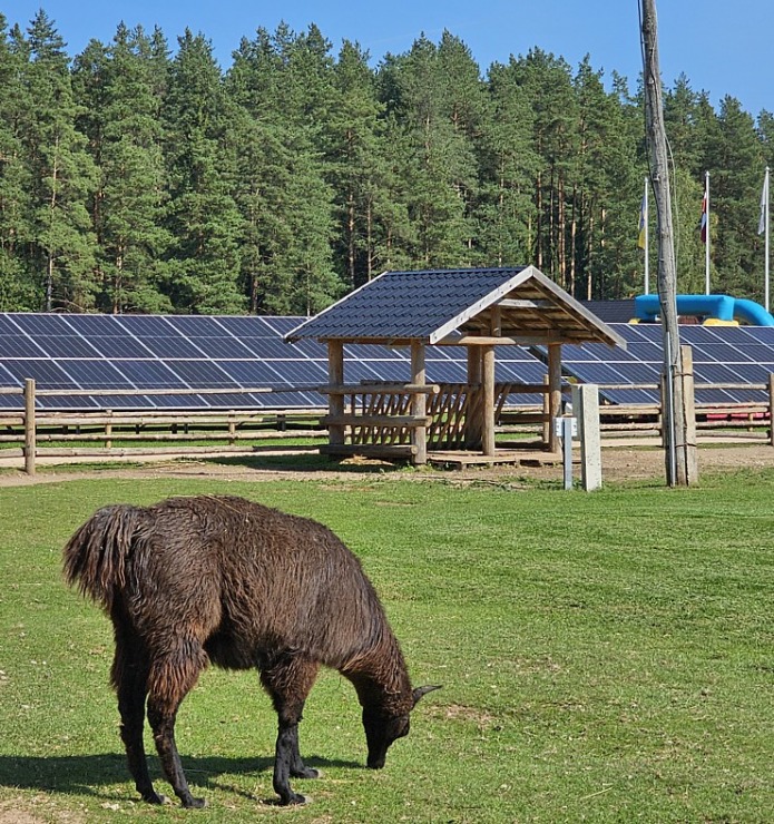 Travelnews.lv apmeklē «Rakšu» brīvdabas ZOO Cēsu novadā 358588