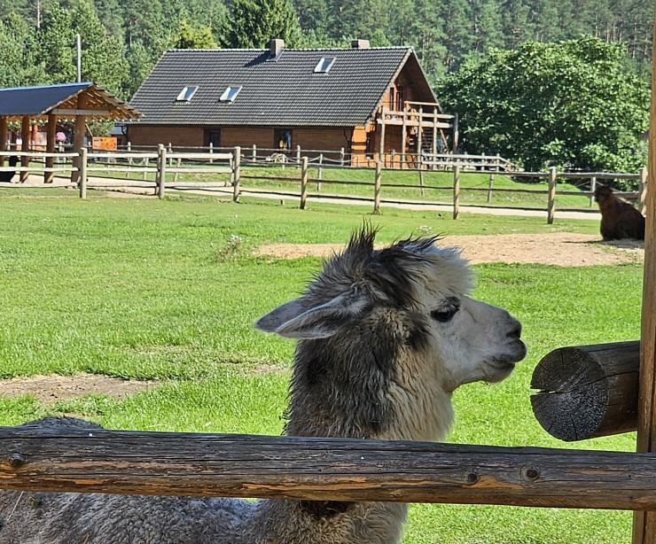 Travelnews.lv apmeklē «Rakšu» brīvdabas ZOO Cēsu novadā 358590